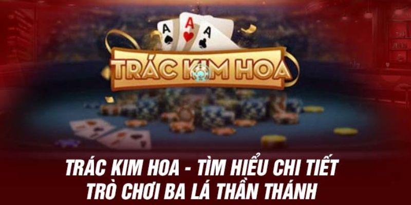 Khái quát về tựa game Trắc kim hoa TP88